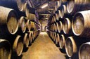 Port wine cellars